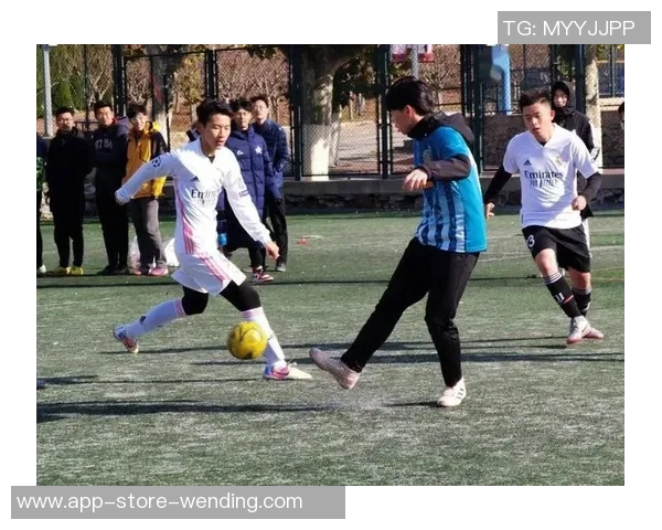 宝山足球队奋勇争先展现团队精神与竞技风采的荣耀之路