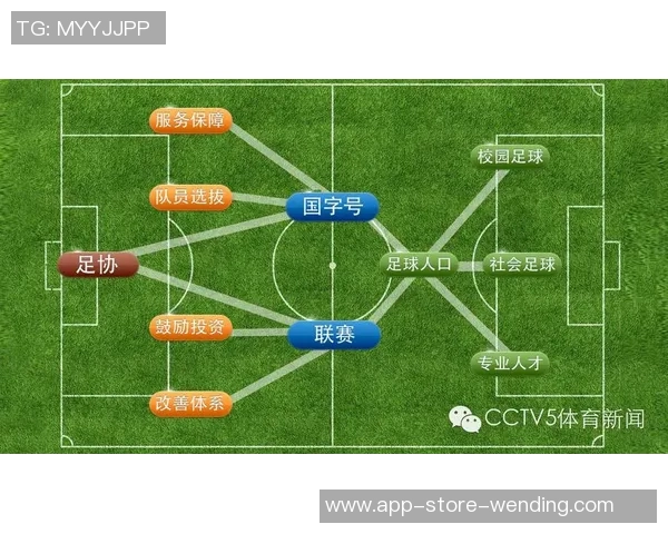 足球经费申请方案探讨与实施计划的全面分析与建议